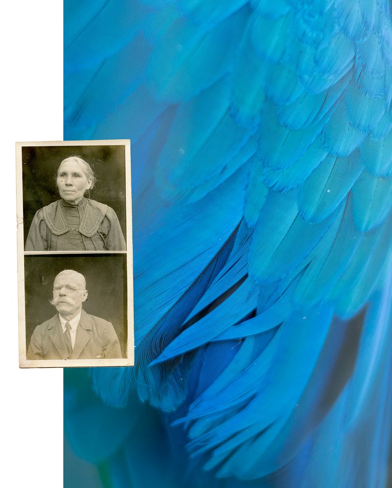 © Katarzyna and Marianne Wasowska, from the series Waiting for the Snow