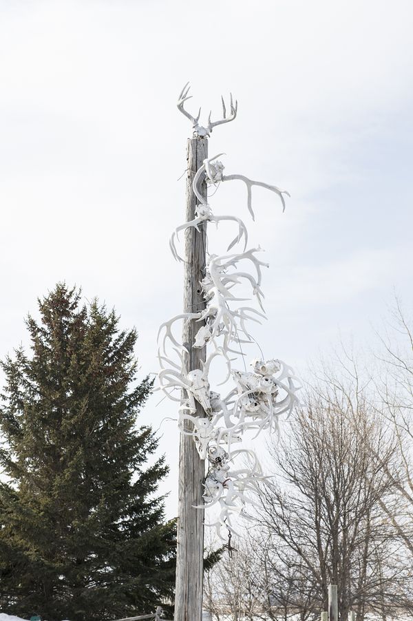 © Michela Benaglia and Emanuela Colombo, from the series, VII Generation Prophecy