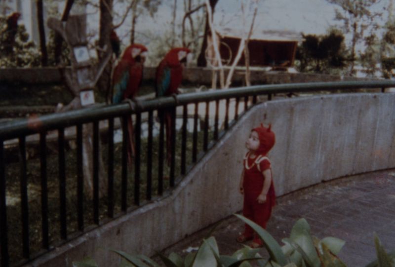 © Fabiola Ferrero, from the series I Can't Hear the Birds