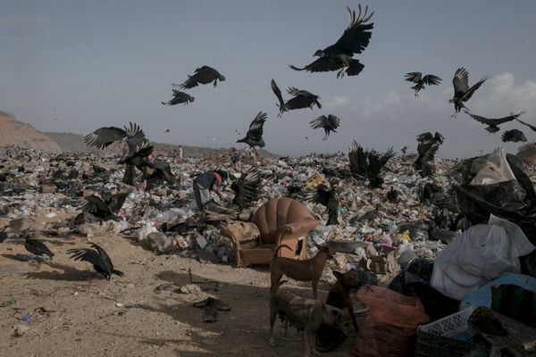 © Fabiola Ferrero, from the series I Can't Hear the Birds