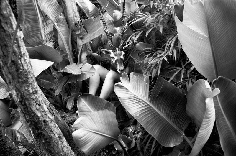 © Sofía López Mañan, from the series Anonymous