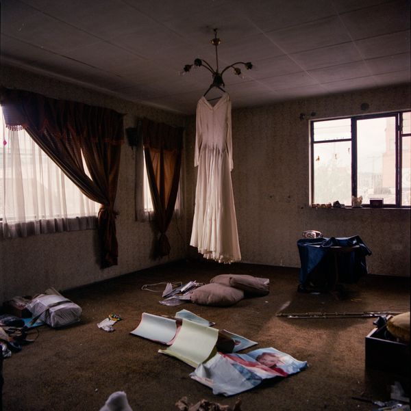 A Radiating Home by Humming Birds and Blue Dust