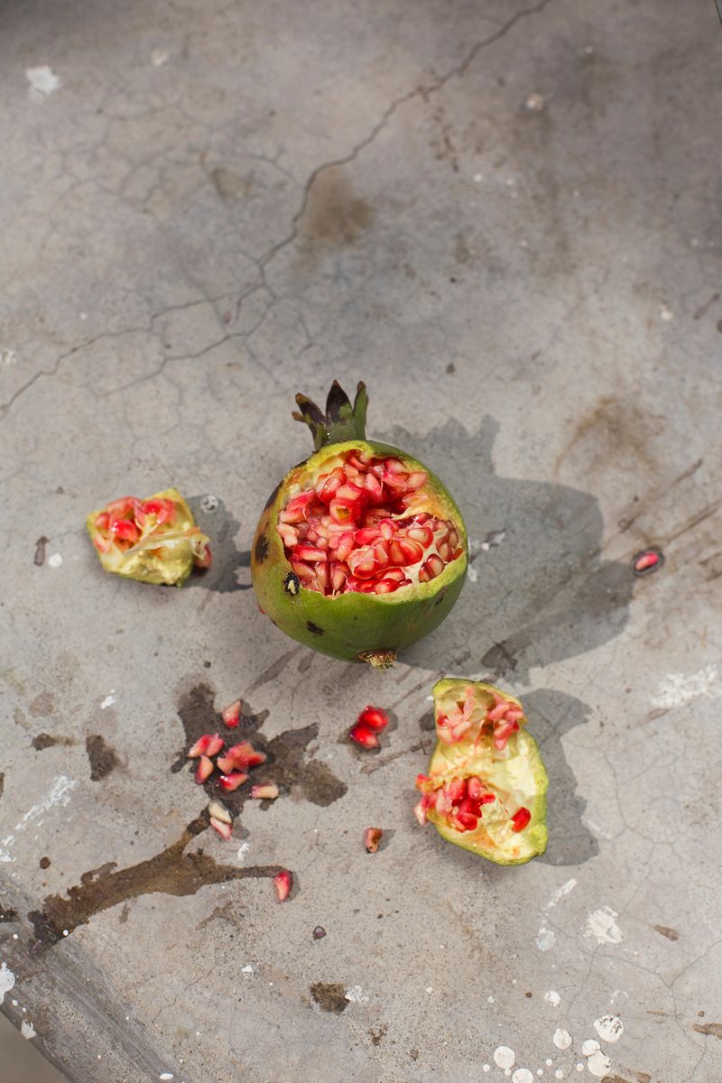 Unveiling Afro-Mexican Celebrations as a Mark of Freedom