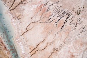 In Jordan and Israel, a Fragile Ecosystem is Shrinking