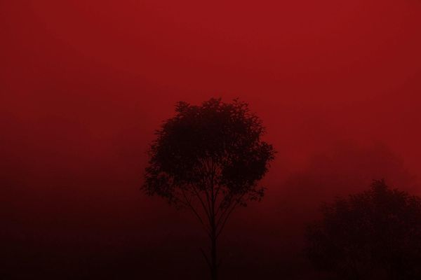 © Mara Sanchez Renero, from the series Iluikak