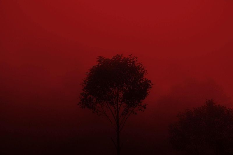 © Mara Sanchez Renero, from the series Iluikak