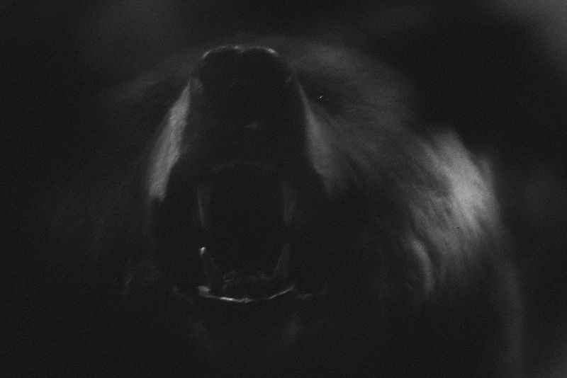 © Fyodor Telkov, from the series Tales