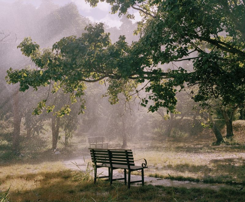 © Silvana Trevale, from the series Warm Rain