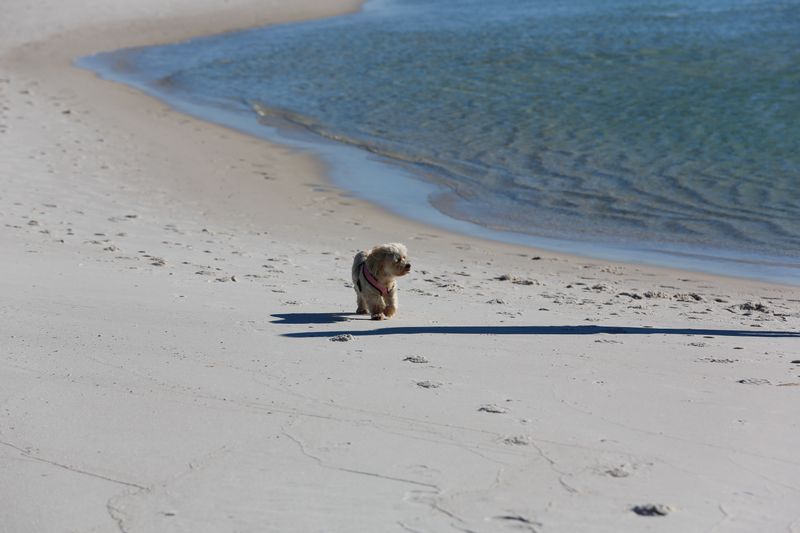 © Lexie - Image from the Islands We Inherit photography project