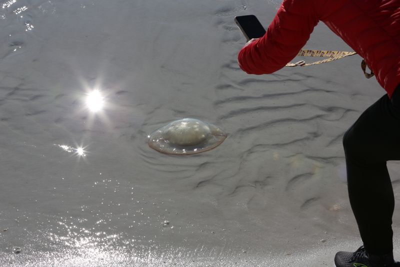 © Lexie - Image from the Islands We Inherit photography project