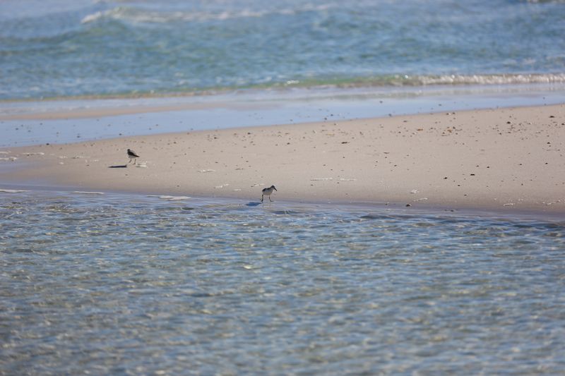 © Lexie - Image from the Islands We Inherit photography project