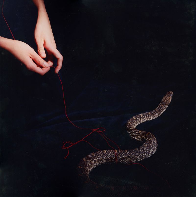 © Linzi Bugeja - Image from the Pulp Series photography project