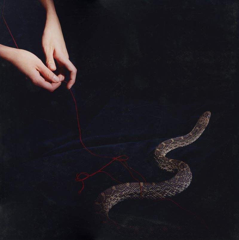 © Linzi Bugeja - Image from the Pulp Series photography project