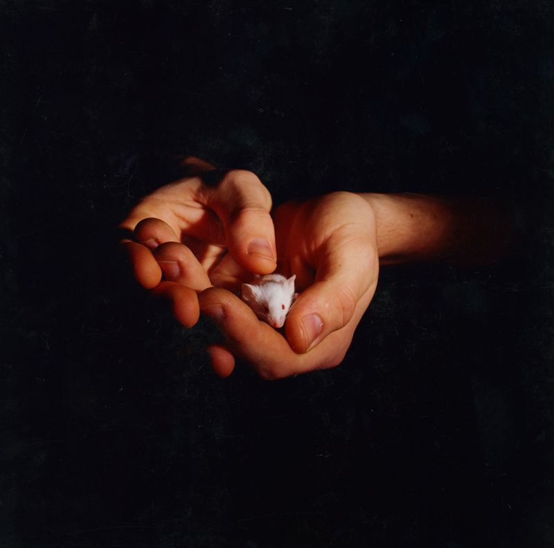 © Linzi Bugeja - Image from the Pulp Series photography project