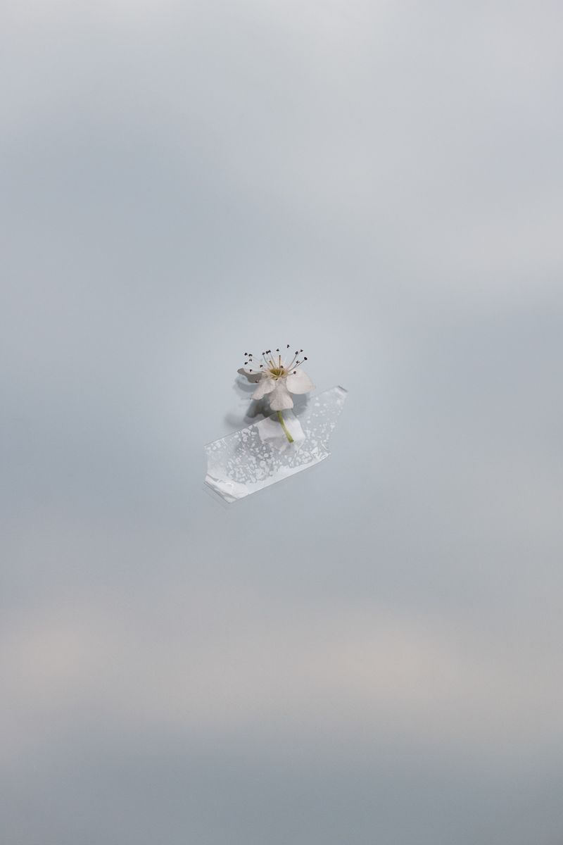 © Federica Cocciro - Image from the Living in quarantine photography project