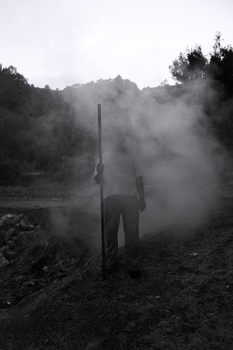 © Federica Cocciro - Image from the Wild Strawberries photography project