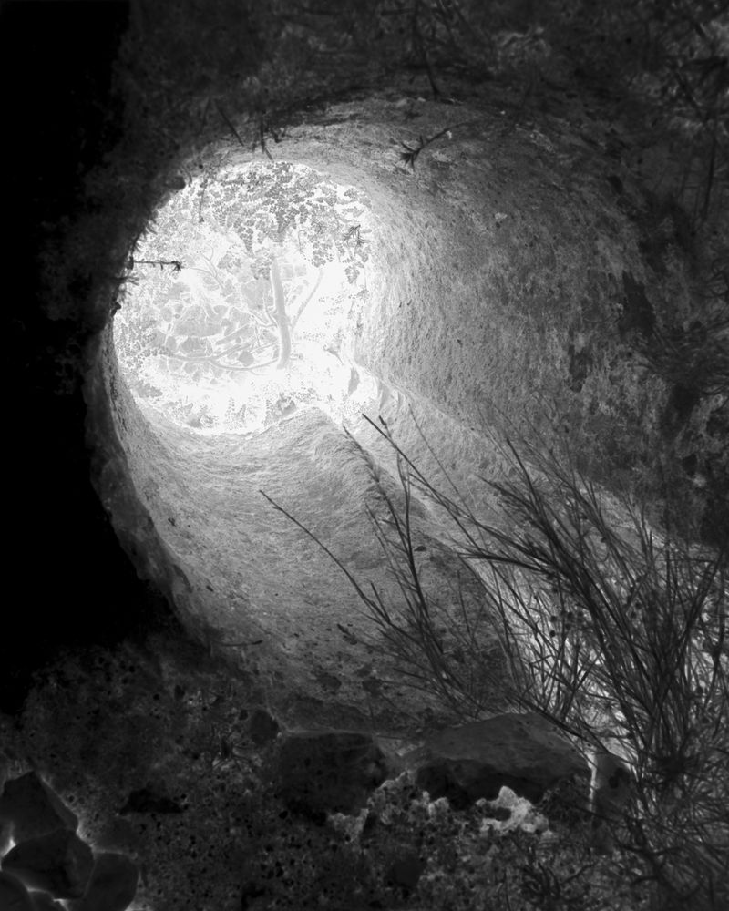 © Gökhan Tanrıöver - Image from the WAITING TO BE A FLOWER UNDERNEATH THE FIG TREE photography project