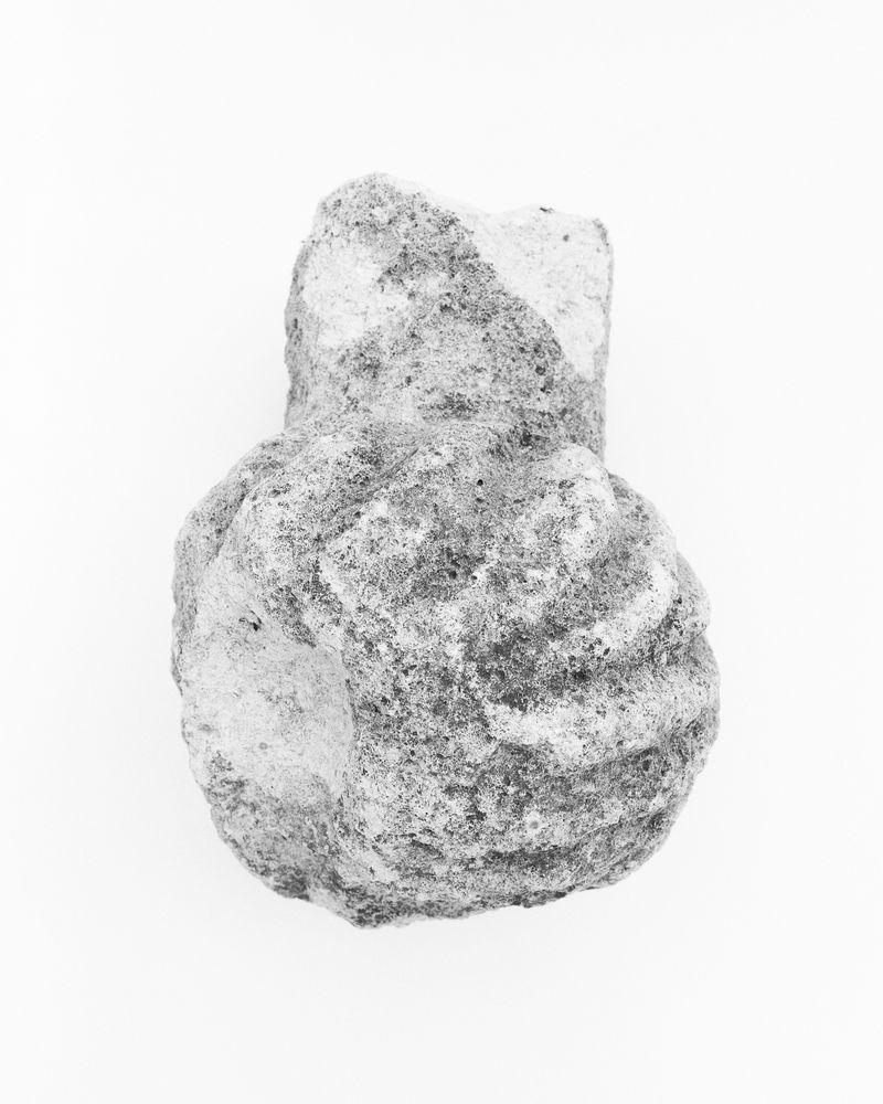 © Gökhan Tanrıöver - Image from the WAITING TO BE A FLOWER UNDERNEATH THE FIG TREE photography project