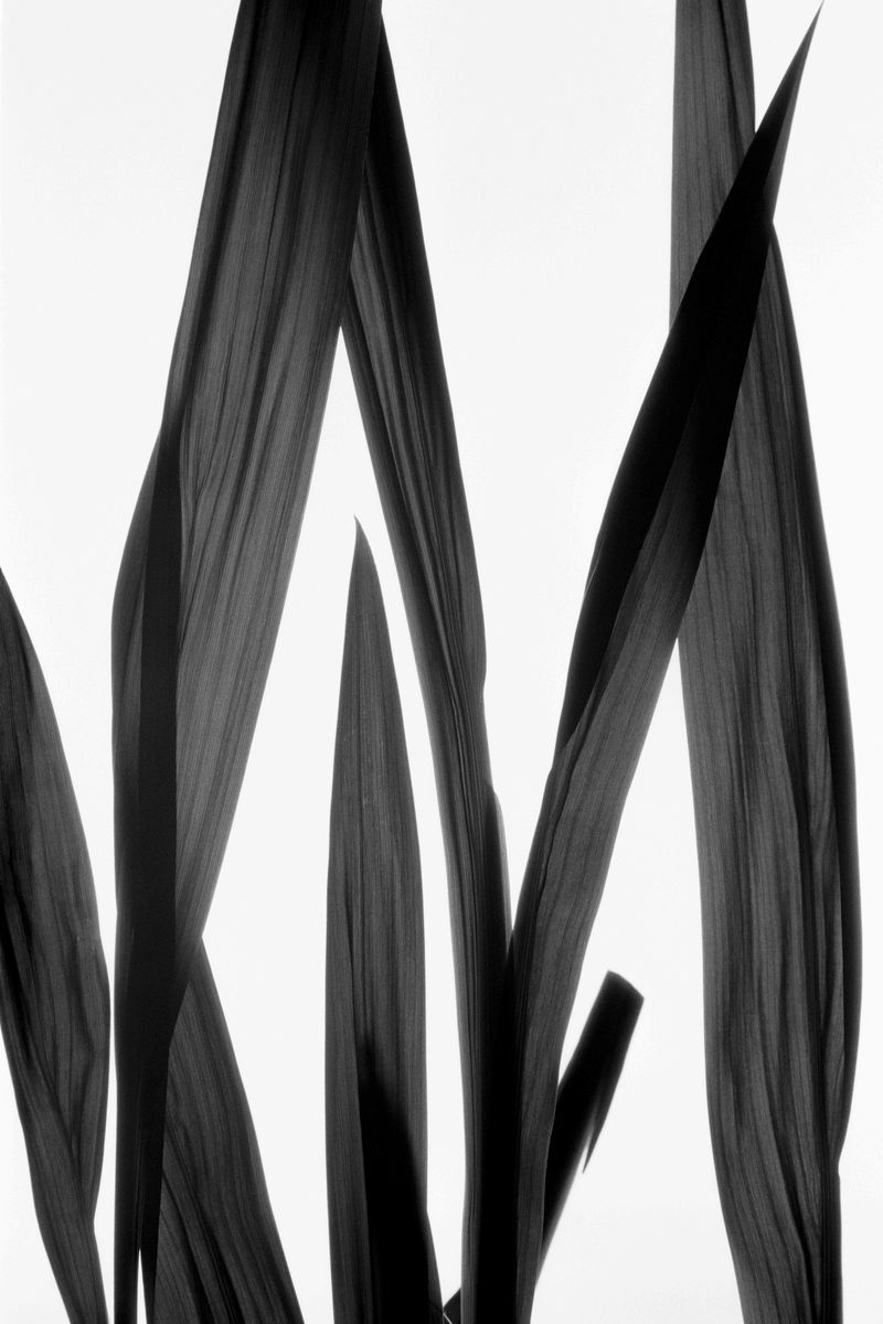 © Gökhan Tanrıöver - Image from the confessionals photography project