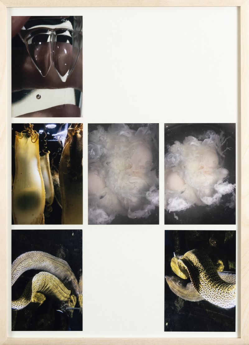 © Petra Joffe Feriancova - Seclusions 2020-2025, A3, Framed