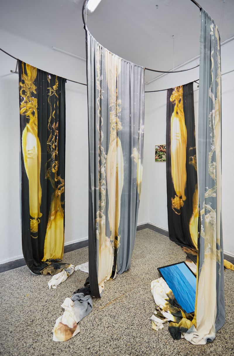 © Petra Joffe Feriancova - Seclusions 2015 ongoing, Installation view 2025, @Berlinskej model 2025
