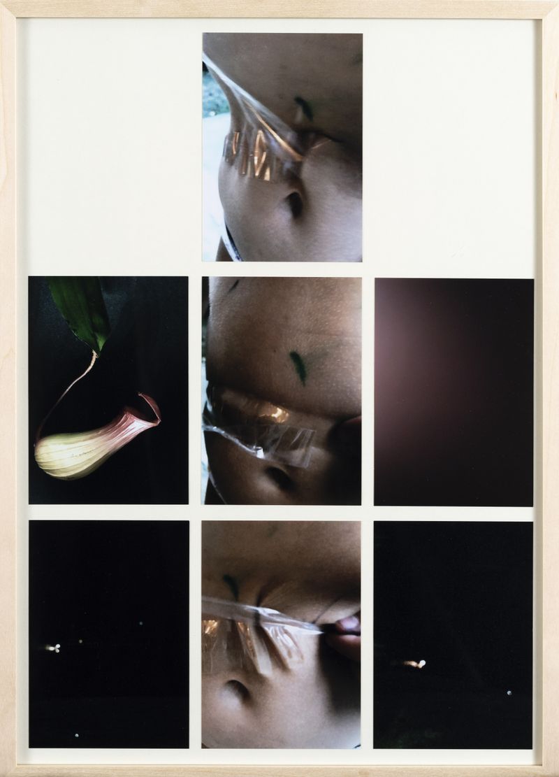 © Petra Joffe Feriancova - Seclusions 2020-2025, A3, Framed