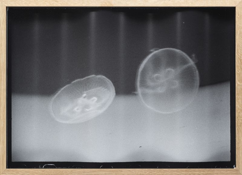 © Petra Joffe Feriancova - Image from the Seclusions photography project