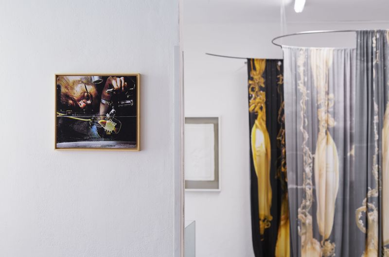 © Petra Joffe Feriancova - Seclusions 2015 ongoing, Installation view 2025, @Berlinskej model 2025