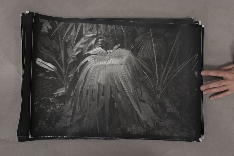 © Petra Joffe Feriancova - From Antigone's eyes series, started in 2009 ongoing,  Handmade photograph from negative on Baryta paper.