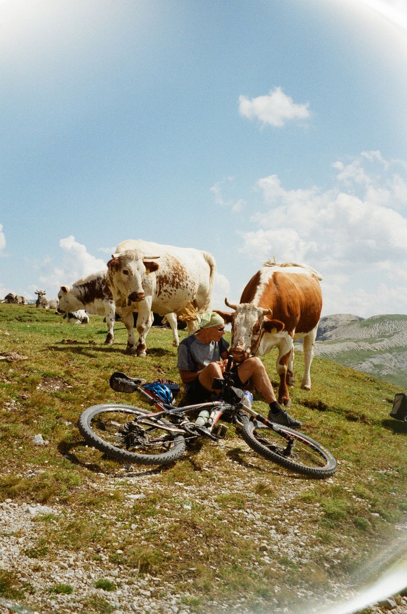 © Aya Zahra - We Share The Same Breath, the Dolomites, Italy