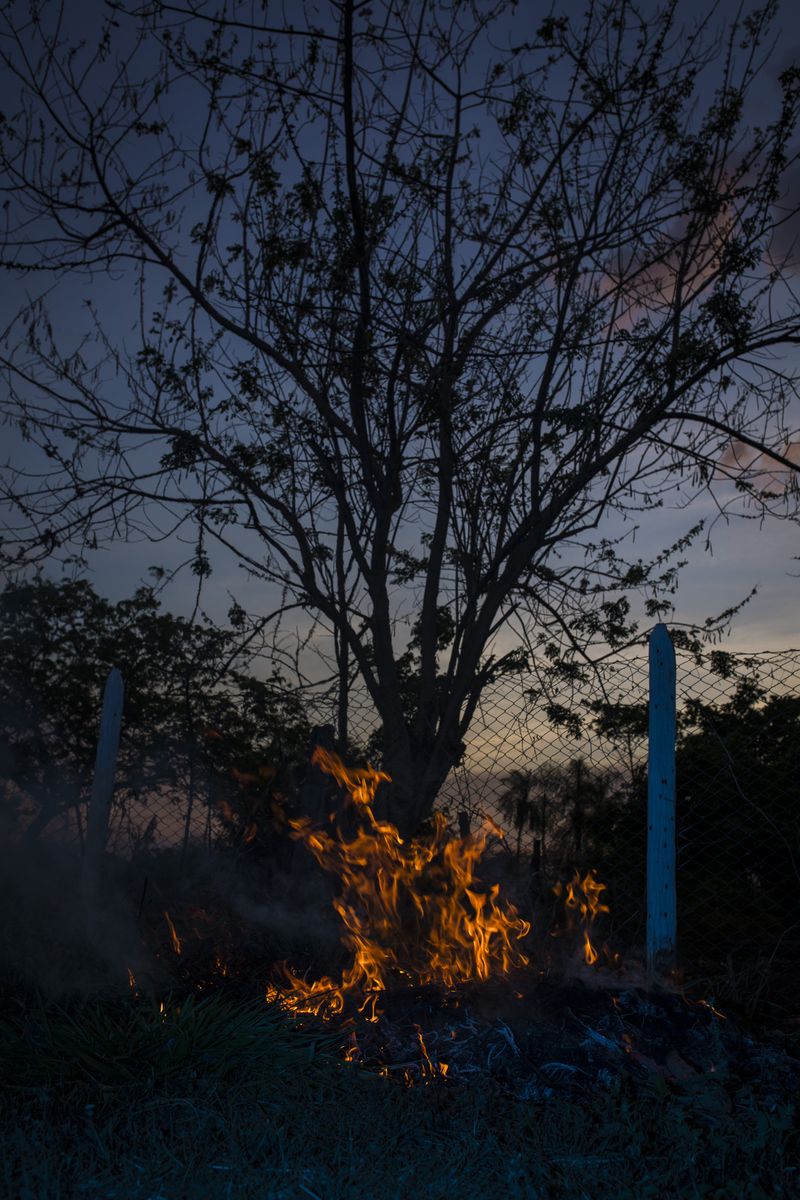 © Andrés Yépez - Image from the OOMO photography project