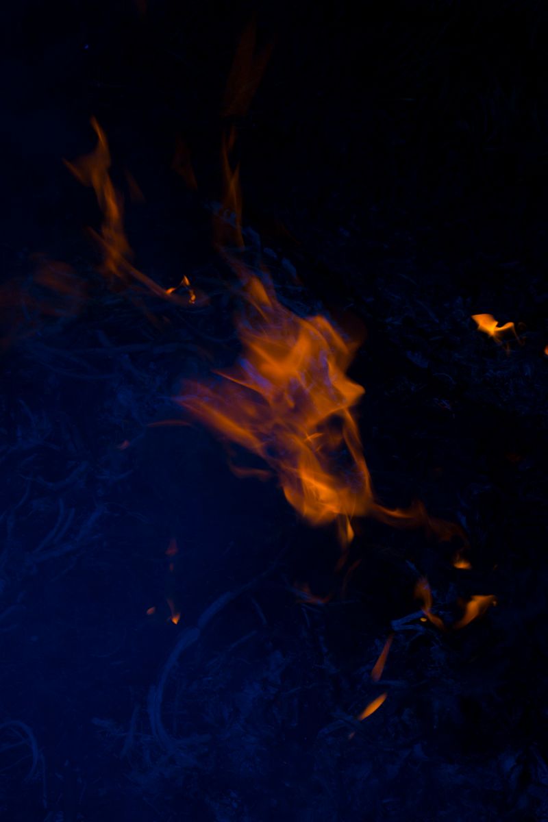 © Andrés Yépez - OOMO means "burns" in native language from La Chiquitanía, Bolivia. Andrés Yépez 2018