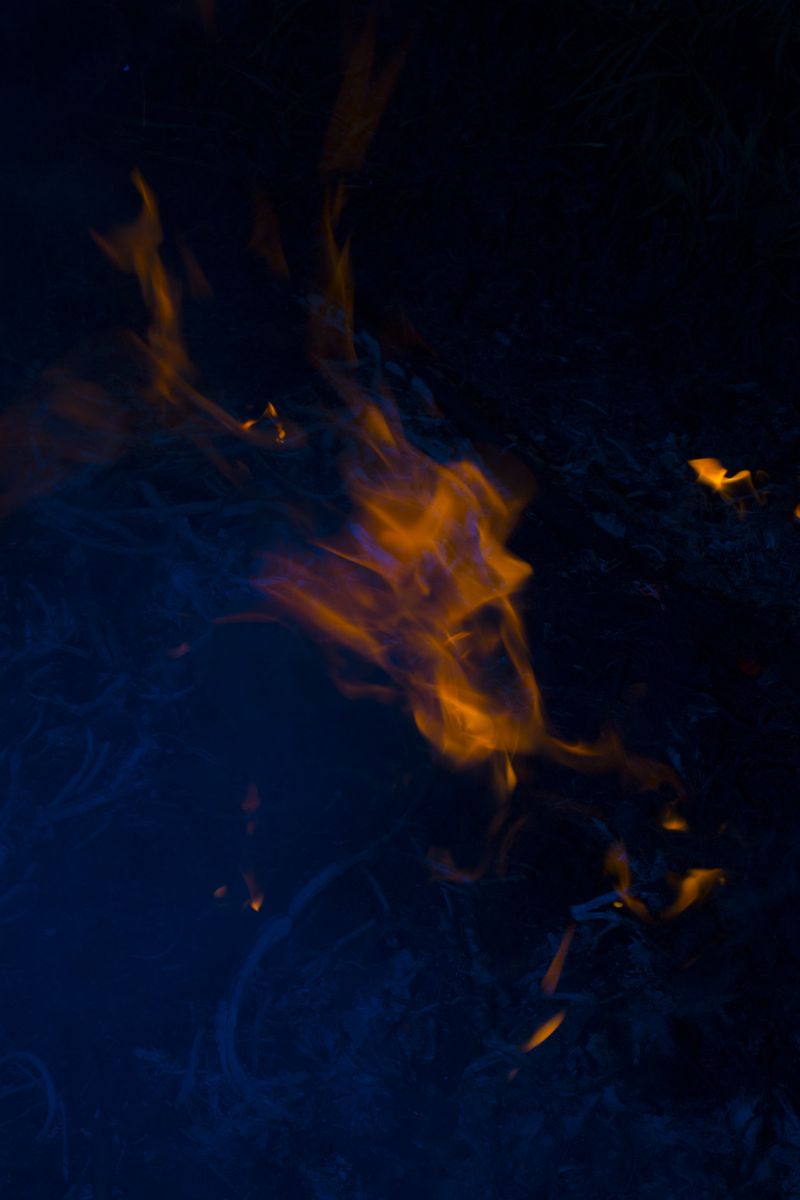 © Andrés Yépez - OOMO means "burns" in native language from La Chiquitanía, Bolivia. Andrés Yépez 2018