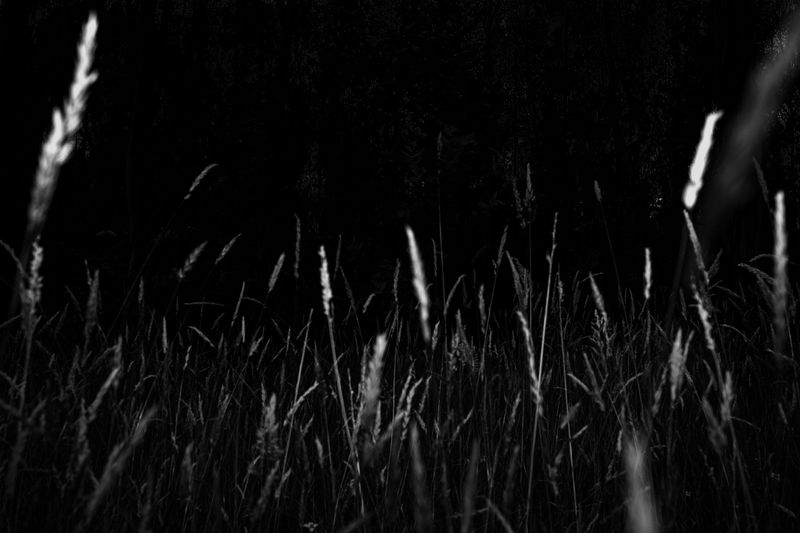 © Andrés Yépez - Image from the What you see, you become. photography project