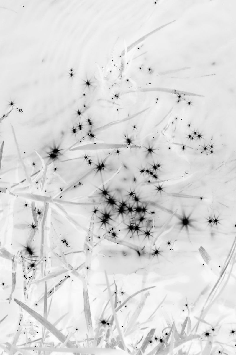 © Andrés Yépez - Image from the What you see, you become. photography project