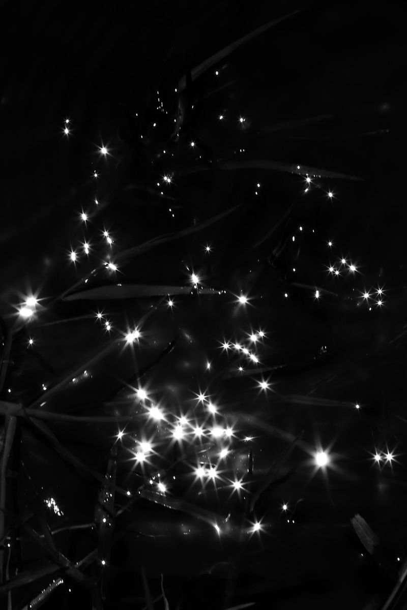 © Andrés Yépez - Image from the What you see, you become. photography project