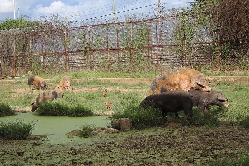 © anthonycamargo7 - Image from the La cosa cambió de color photography project