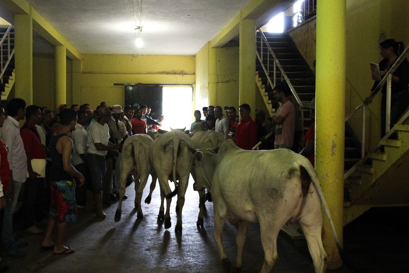 © anthonycamargo7 - Image from the La cosa cambió de color photography project