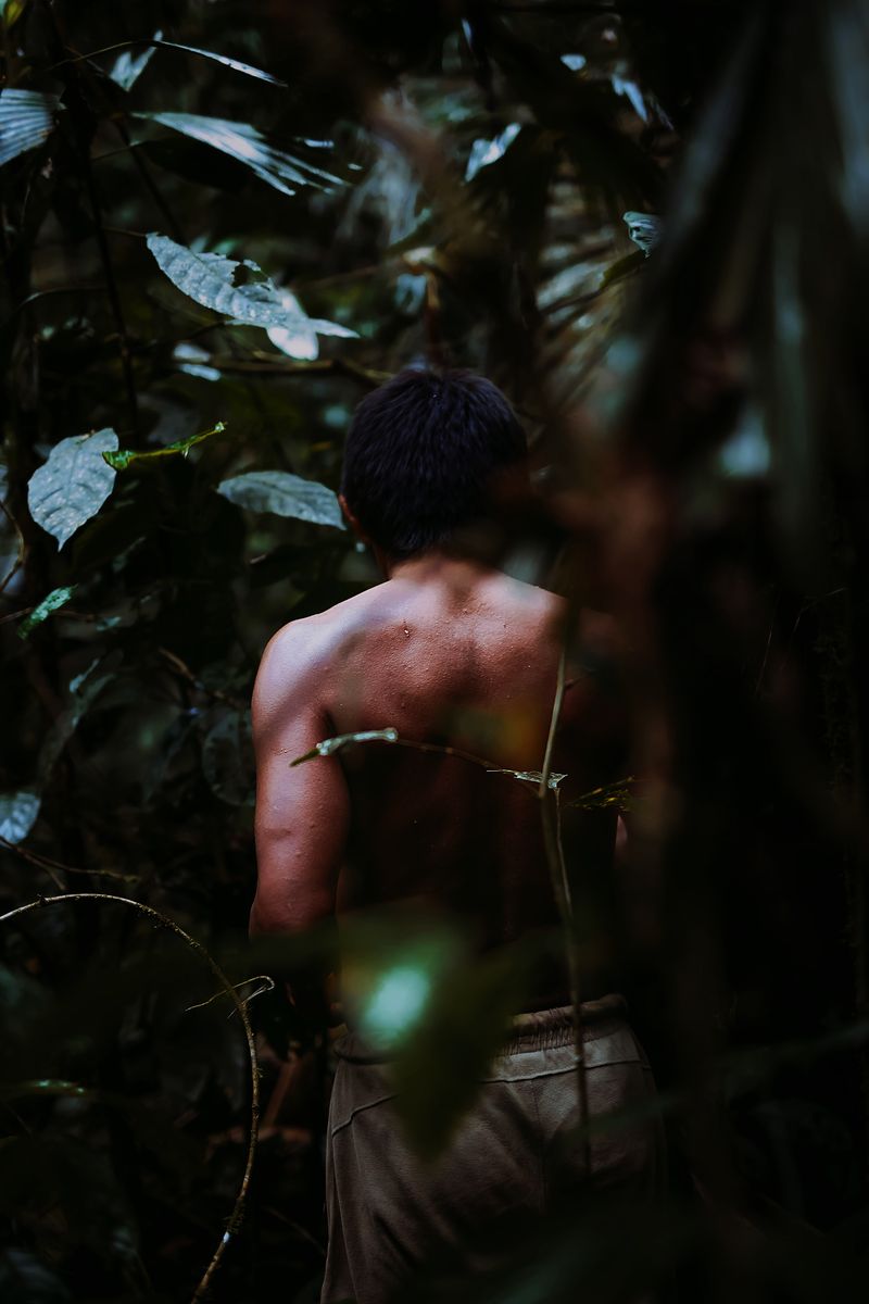 © Antüpewma Rülkelme Mella - Entering the Dreaming
