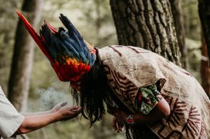 Whispers of the Amazon: The Last Voices of the Sapara Nation