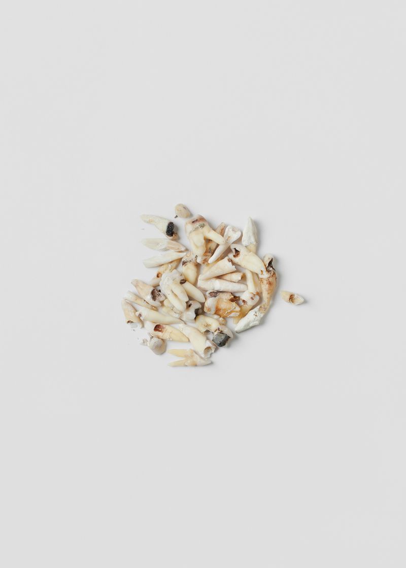 © Marta Zgierska - Untitled 08, from the Post series