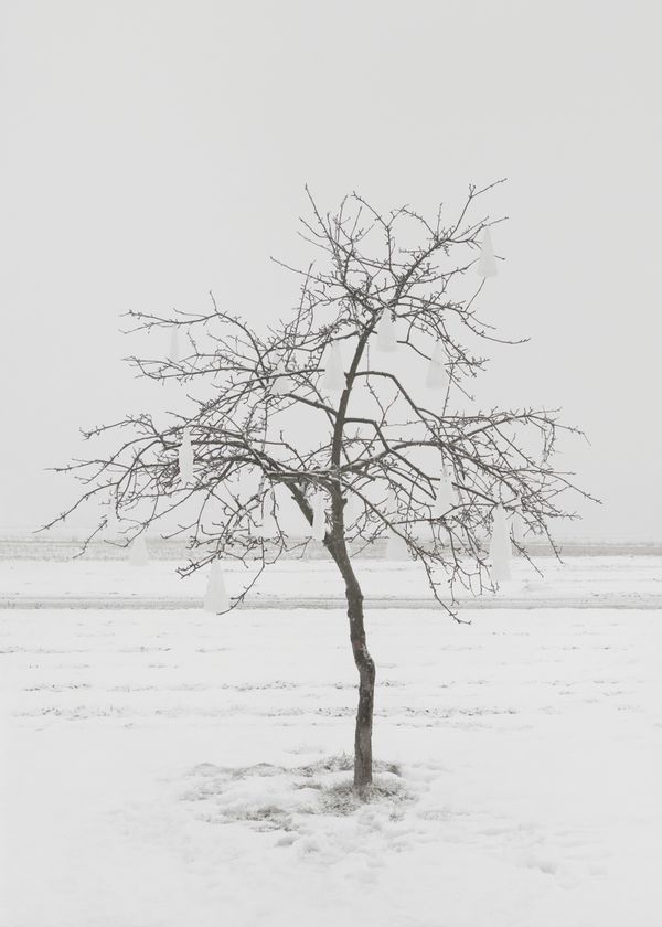 © Marta Zgierska - Untitled 01, from the Post series