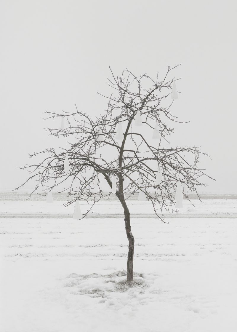 © Marta Zgierska - Untitled 01, from the Post series