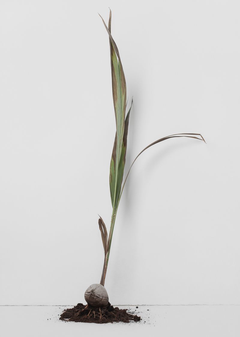 © Marta Zgierska - Image from the Post photography project