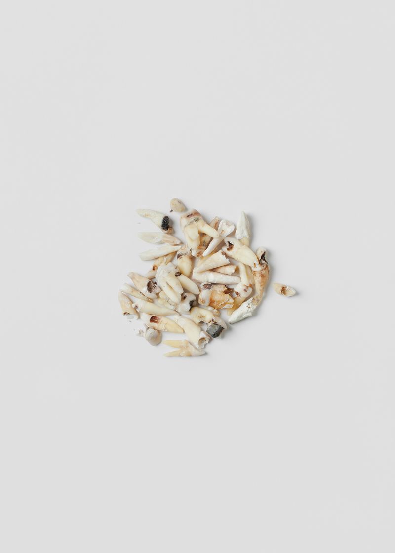 © Marta Zgierska - Image from the Post photography project