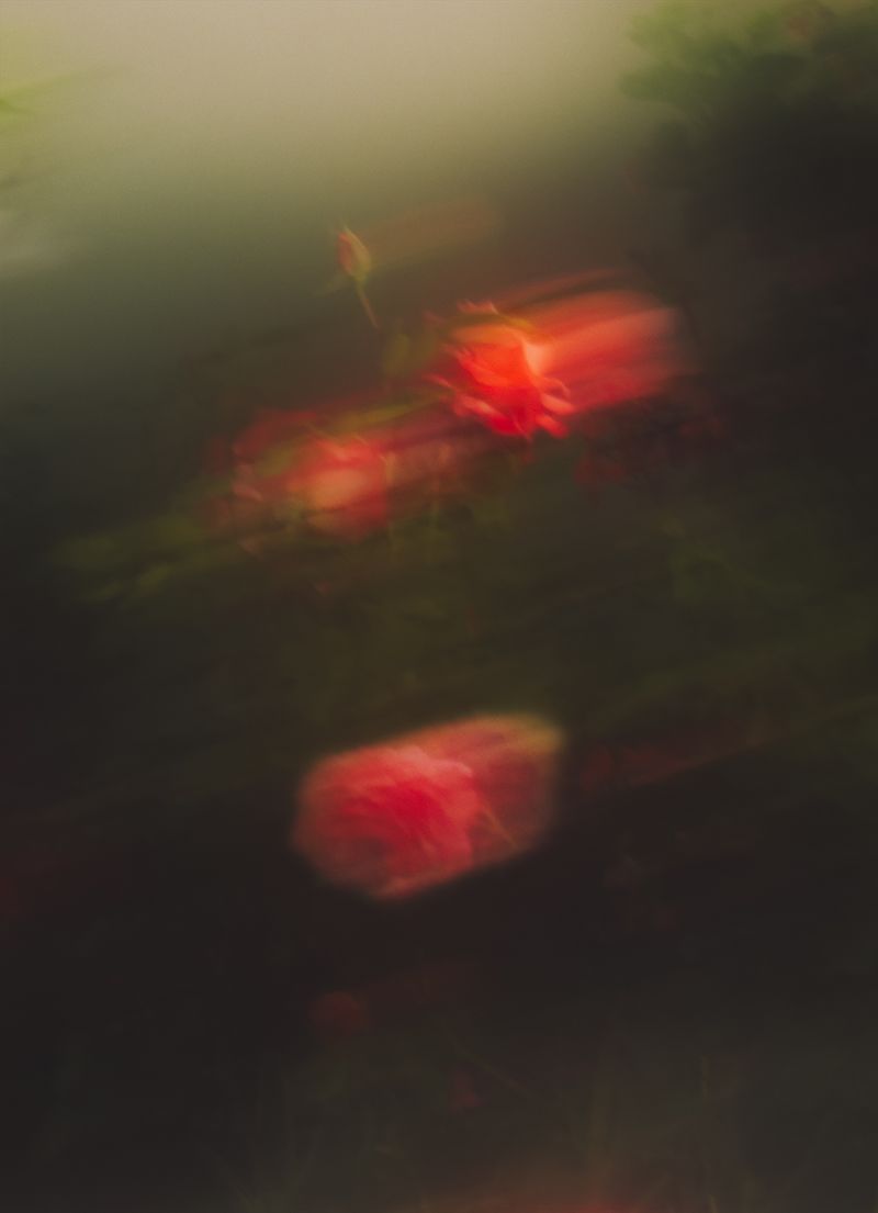 © Mario Wong - Image from the A Balcony in Macaulay photography project