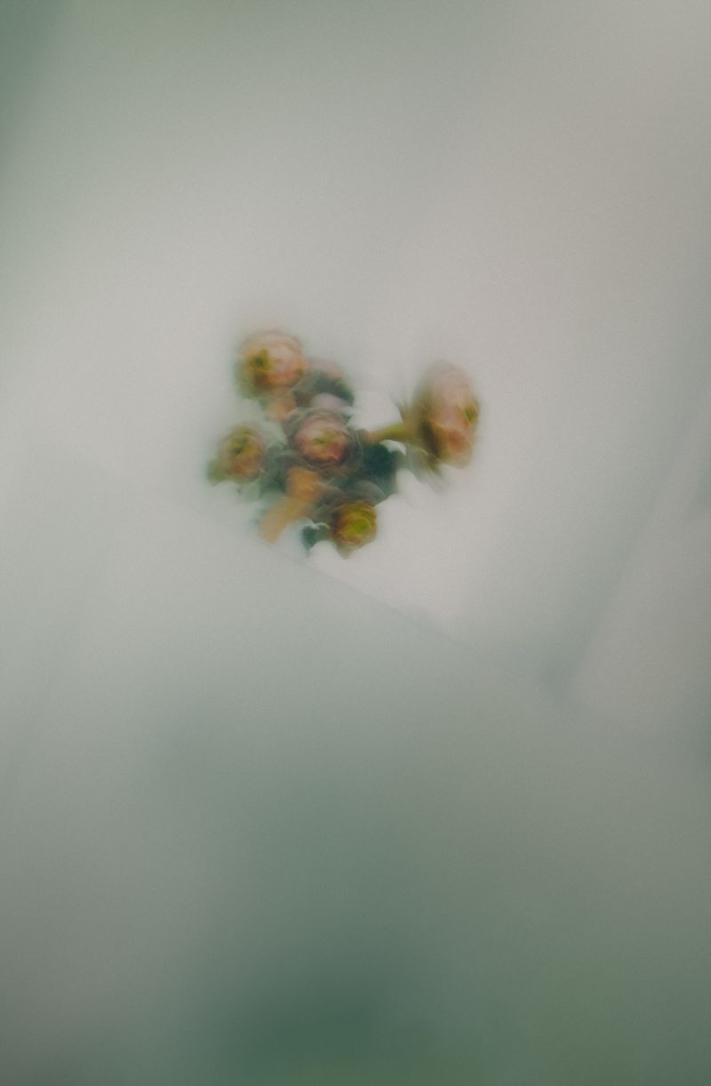 © Mario Wong - Image from the A Balcony in Macaulay photography project