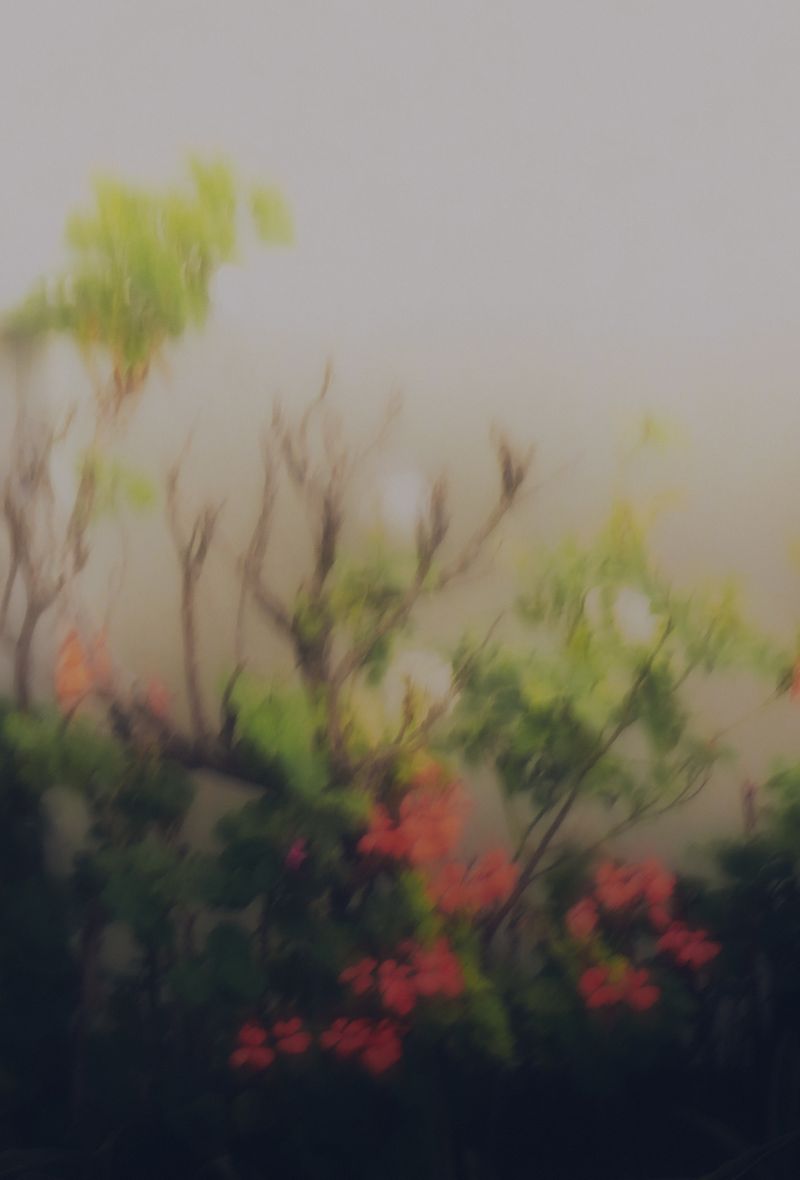 © Mario Wong - Image from the A Balcony in Macaulay photography project