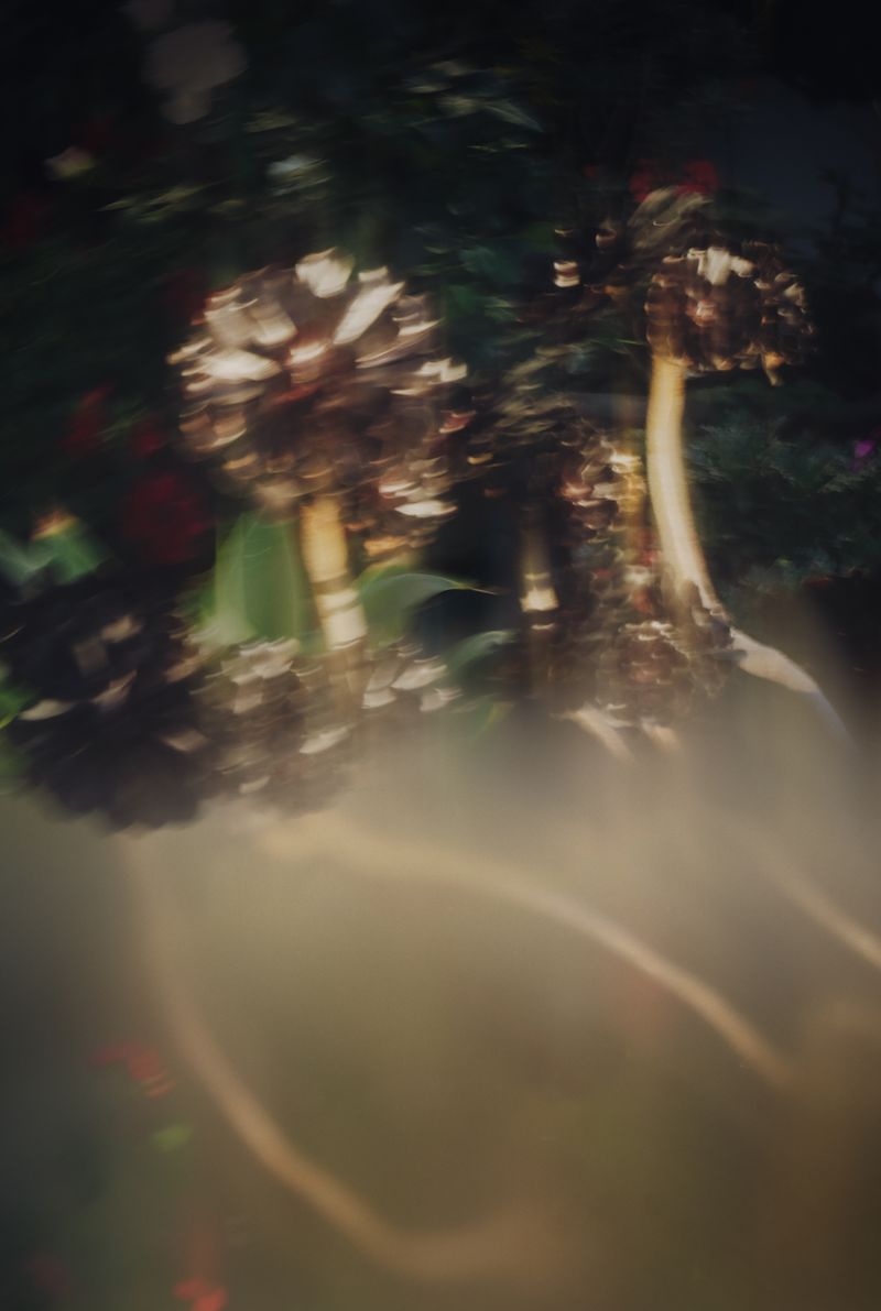 © Mario Wong - Image from the A Balcony in Macaulay photography project