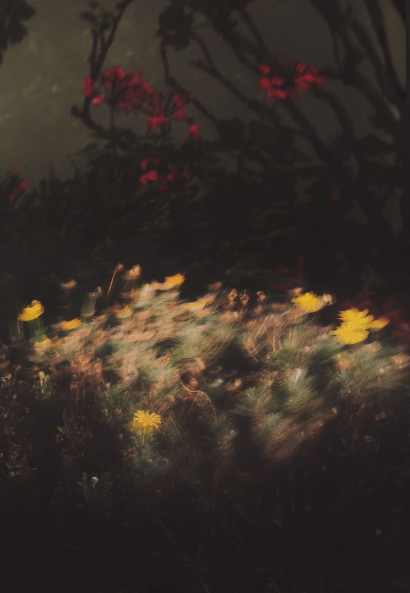 © Mario Wong - Image from the A Balcony in Macaulay photography project